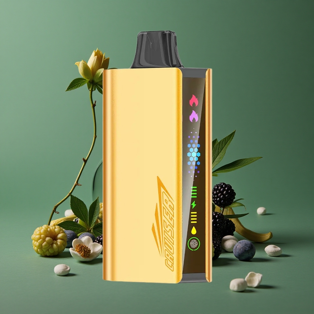 Brombær Is JNR Cruiser 12000 Pust Ingen Opladning Engangsvape 3500 mAh Batteri Denmark vape