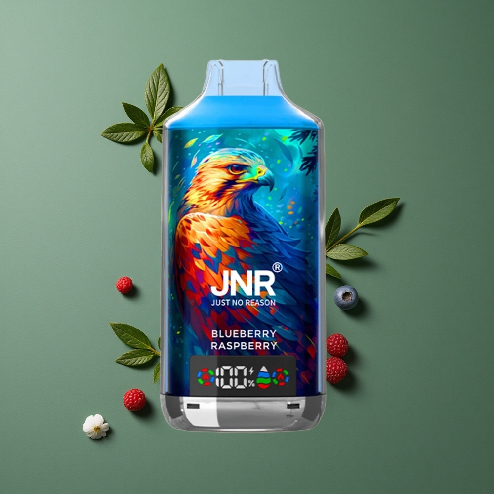 Blåbær Hindbær JNR Falcon X 18000 Pust 750mAh 24ml Denmark vape
