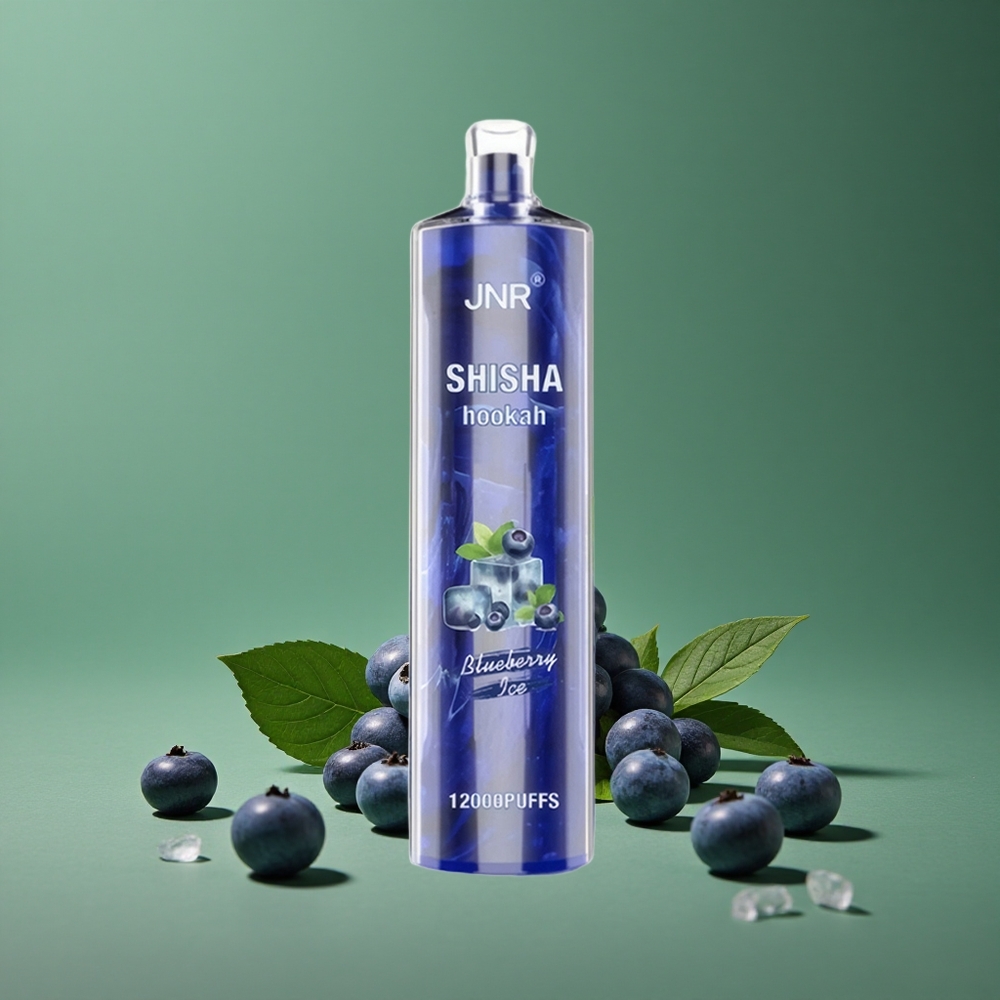 Blåbær Is JNR Shisha Hookah 12000 Pust 24ml e-væske 750mAh batteri Denmark vape